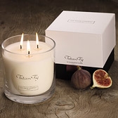 Tuscan Fig Large 3-Wick Candle 
