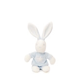 Jacob Bunny 