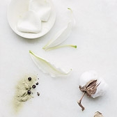 Buy Blanc from The White Company