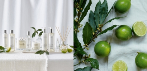 All Fragrances Candles and Fragrance The White Company US