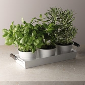 Enamelware Herb Pots with Tray 
