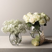 Buy Rimini Vases from The White Company