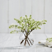 Home Accessories