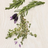 Fresh Thyme 
