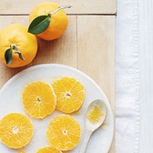 Orange Grove 