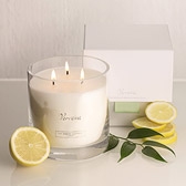 Verveine Large Candle 