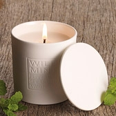 Wild Mint Signature Candle 
