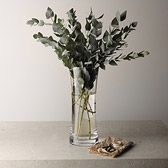 Buy Siena Vase - Tall from The White Company