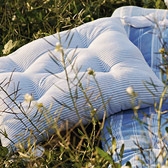 Buy Pinstripe Tassel Cushion from The White Company