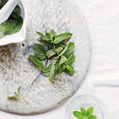 Buy Wild Mint from The White Company