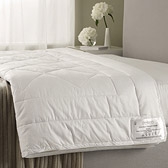 Silk Duvets
