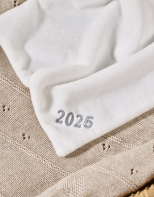 2025 Dated Bear Comforter