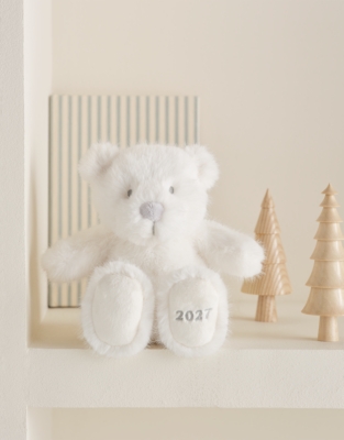2027 Dated Bear