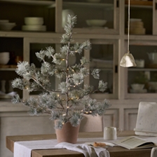 3ft Pre-Lit Frosted Christmas Tree