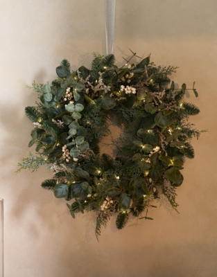 60cm Pre-Lit Frosted Eucalyptus Wreath