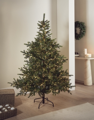 6ft Extra Bright Grand Spruce Christmas Tree