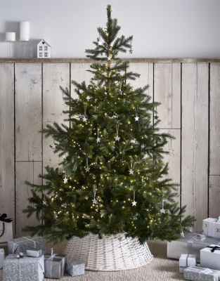6ft Grand Spruce Christmas Tree