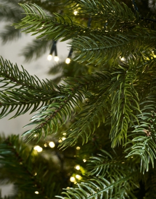 6ft Grand Spruce Christmas Tree