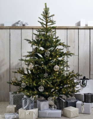 6ft Pre Lit Grand Spruce Christmas Tree