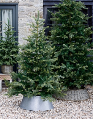 6ft Pre Lit Grand Spruce Christmas Tree