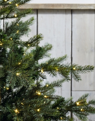 6ft Pre Lit Grand Spruce Christmas Tree