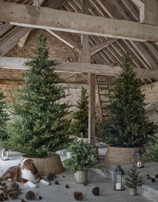 6ft Pre Lit Grand Spruce Christmas Tree