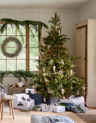 7.5ft Grand Spruce Christmas Tree