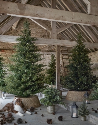 7.5ft Grand Spruce Christmas Tree