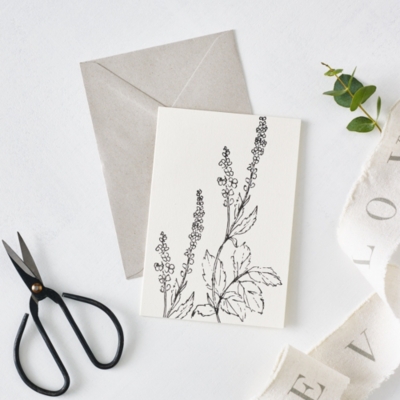 Agrimony Flower Outline Card | Home Accessories Sale | The White Company UK