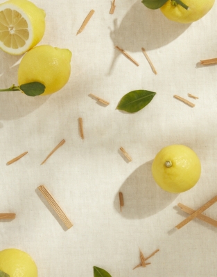 Amalfi Lemon Luxury 2 Wick Candle