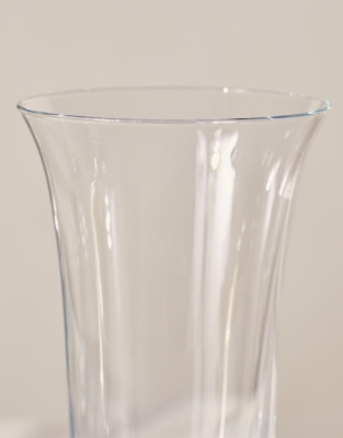 Annecy Champagne Flute Glasses – Set of 4