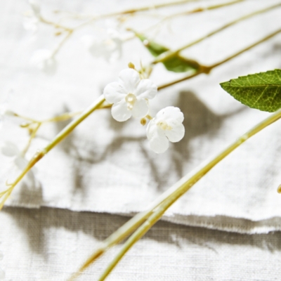 Artificial Wildflower Spray Home & Bath The White Company US