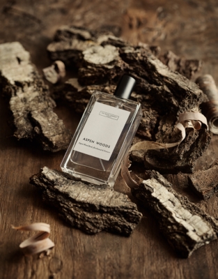 Aspen Woods Luxury Home Spray
