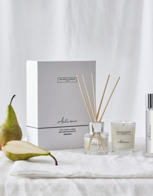 Autumn Mini Home Scenting Set