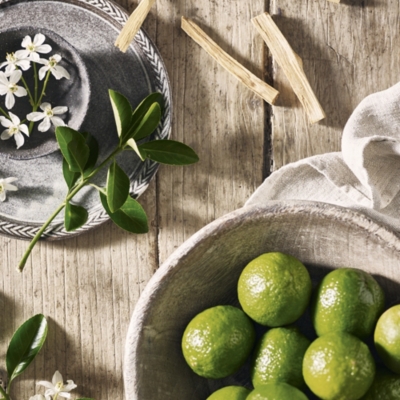 Bergamot & Cedar Body Lotion