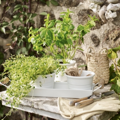 Bloomsbury Herb Pots With Tray Home & Bath The White Company US