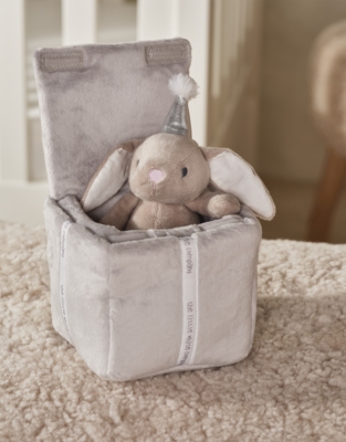 Bonnie Bunny In A Present Toy