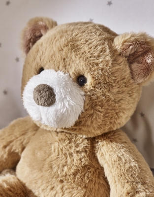 Bruno Bear