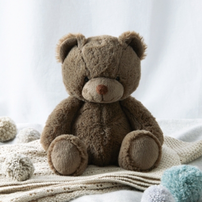 White company store teddy bear