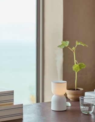 Calm Light Electronic Diffuser