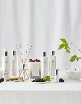 Cassis Collection