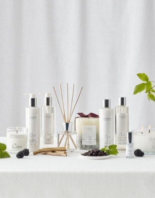 Cassis Hand Wash