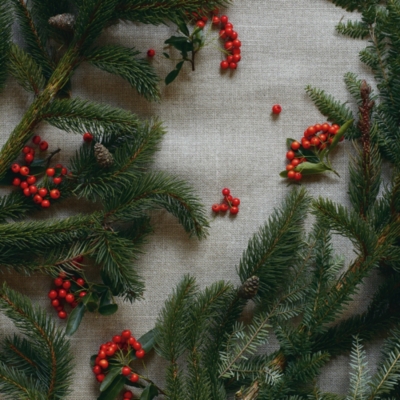 Christmas Scents Collection The White Company UK