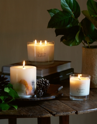 Clementine & Juniper Botanical Candle – Medium