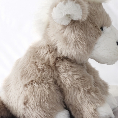 the white company teddy