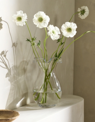 Coombe Frill Vase