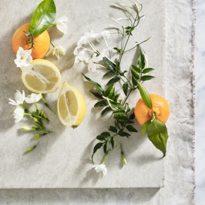 Daydream Diffuser Diffusers The White Company UK