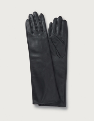 Dents Long Leather Gloves