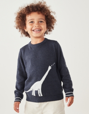 Boys sales dinosaur sweater