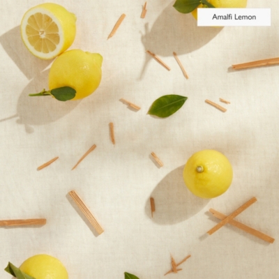 Edit Collection Discovery Hamper